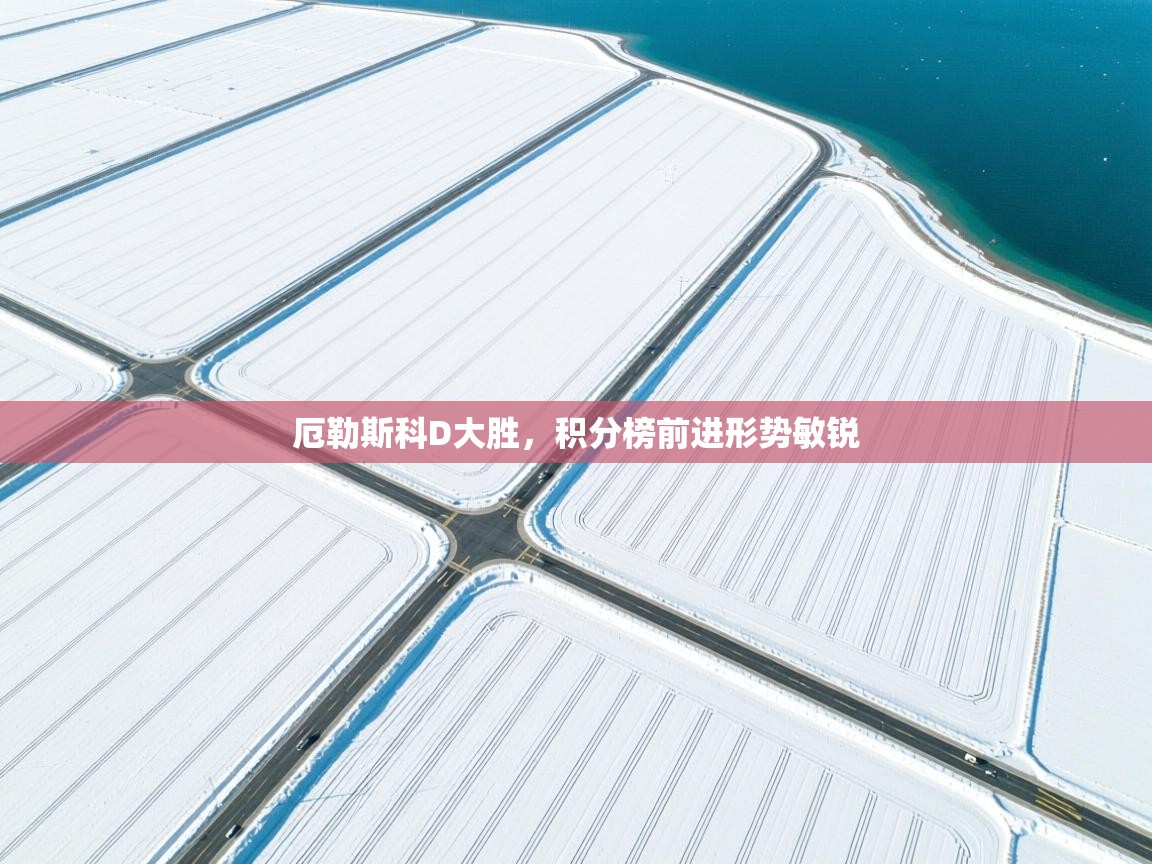 厄勒斯科D大胜,积分榜前进形势敏锐 第2张