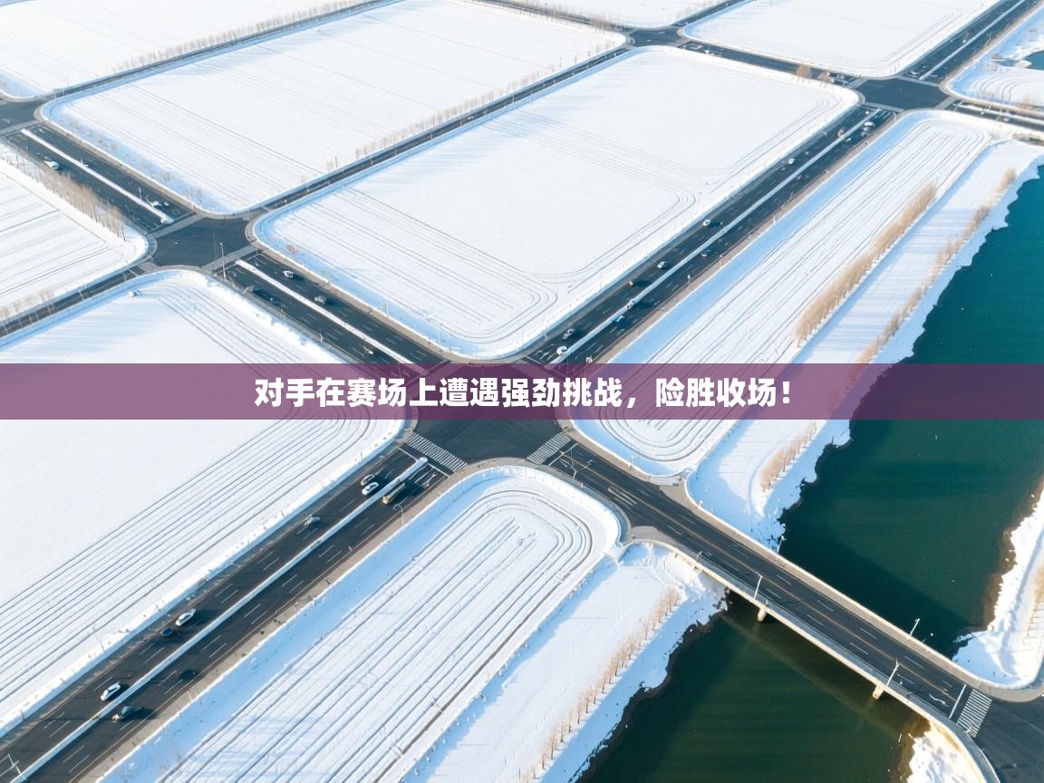 对手在赛场上遭遇强劲挑战，险胜收场！  第2张