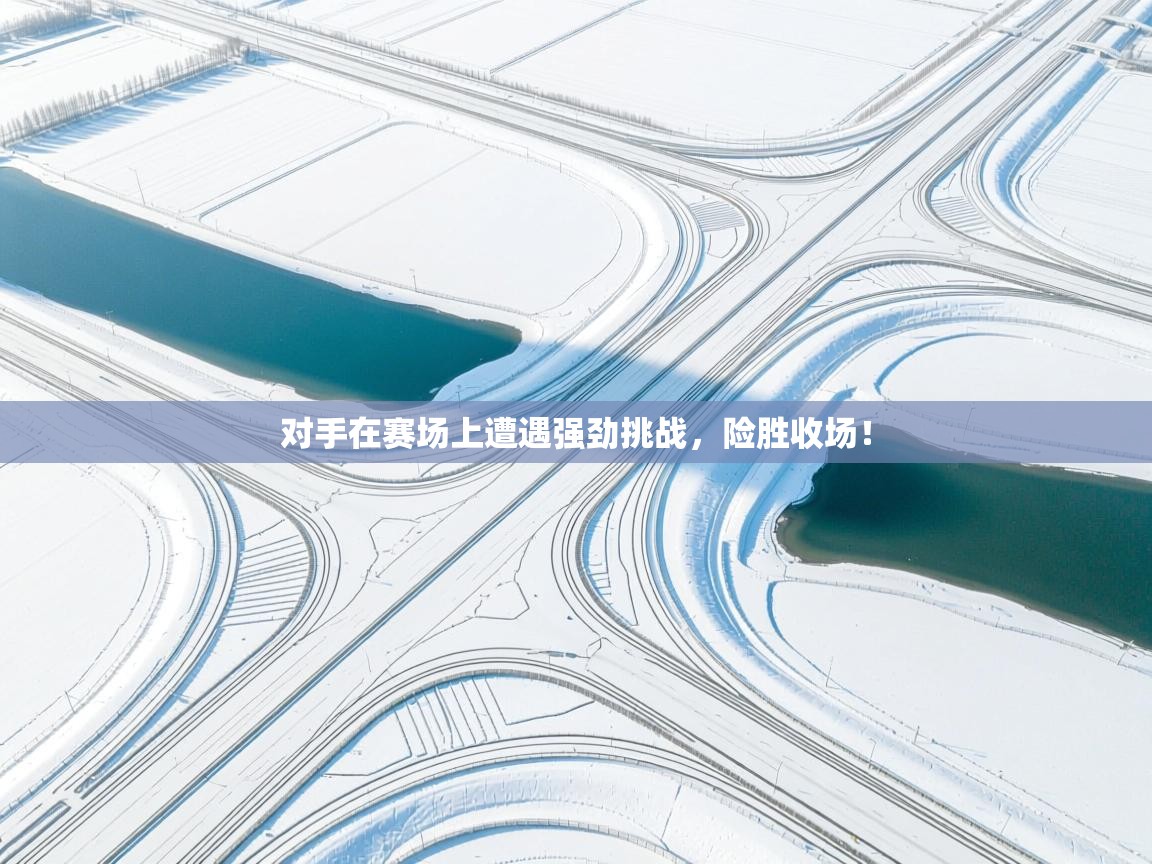 对手在赛场上遭遇强劲挑战，险胜收场！  第1张